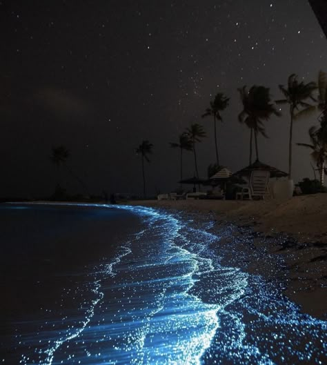 Underwater Pictures, Ocean At Night, Sea Of Stars, Beach Night, Pretty Landscapes, Moon Photography, Ocean Wallpaper, Nature Aesthetic, Light Show