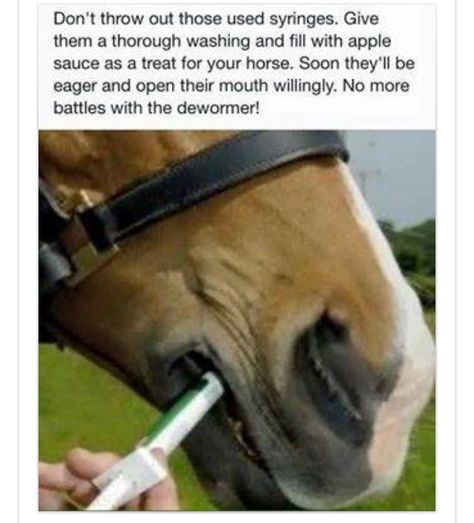 Riding Exercises, Horse Memes, Equine Massage, Horse Farm Ideas, Ranch Horse, Equine Care, Horse Information, Healthy Horses, Riding Tips