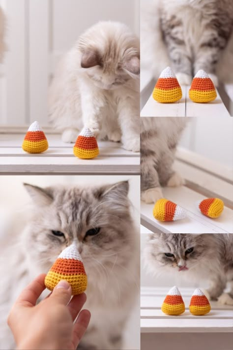 candy corn cat toy Cat Nip Toys Diy Crochet, Cat Crochet Toys, Cat Toy Crochet Pattern, Crochet Pet Toys, Halloween Cat Toys, Crochet Catnip Toy, Crochet Cat Toys Free Pattern, Cat Toys Crochet, Cat Photo Shoot