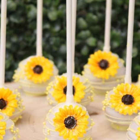 Sunflower Cake Pop Ideas, Daisy Cakepops, Cake Pop Flowers, Wildflower Cake Pops, Sunflower Cakepops, Sunflower Desserts, Sunflower Treats, Sunflower Cake Pops, Cakepops Ideas