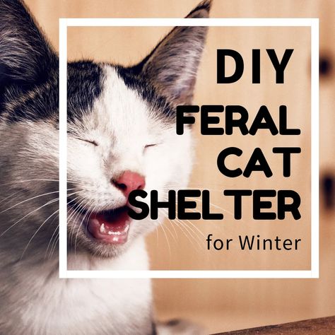 DIY Cat Shelter for Ferals in the Winter - PetHelpful - By fellow animal lovers and experts Outdoor Shelter Ideas, Outdoor Cat House Diy, Cat Diy Projects, Cat Shelters For Winter, Cat Remedies, Animal Rescue Ideas, Cat House Ideas, Getting A Cat, Cat Shelters