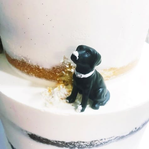 Wedding Cakes With Dogs On Them, Grooms Cake Alternative Ideas, 30 Cakes, Dog Bday, Cakes For Weddings, Cakes Design, Taylor Wedding, Cakes Decorating, Wedding Renewal