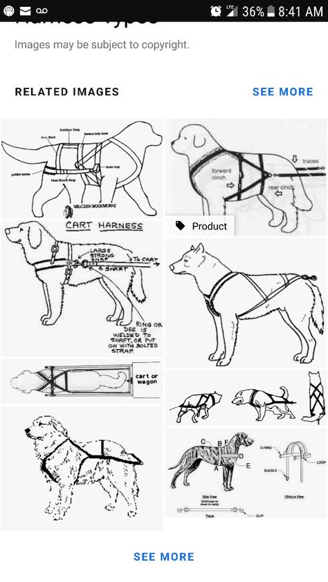 Diy Dog Harness How To Make, Sled Dog Harness, Diy Sled, Dog Pulling Harness, Diy Dog Harness, Dog Carting, Dog Harness Tutorial, Dog Harness Pattern Free, Dog Harness Leather