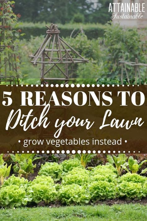 A front yard garden can be beautiful as well as productive. Instead of maintaining a lawn with weekly mowing and trimming duties, why not swap the grass for a vegetable garden? A front yard garden will provide a harvest for your family and be a beacon in your community, inspiring others to grow their own food as well. #garden #growingfood #urbangarden Attainable Sustainable, Well Garden, Suburban Garden, Garden Raised Beds, Garden Plot, Edible Landscape, Garden Container, Front Yard Design, Front Yard Garden Design