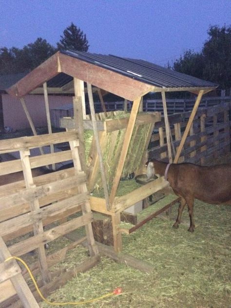 Having a goat feeder that wastes as little hay as possible is so important! Read more on How to Build a Goat Feeder Using Pallet Boards Goat Feeders, Goat Hay Feeder, Goat Ideas, Goat Feeder, Goat Playground, Horse Feeder, Goat Toys, Livestock Shelter, Goat Pen