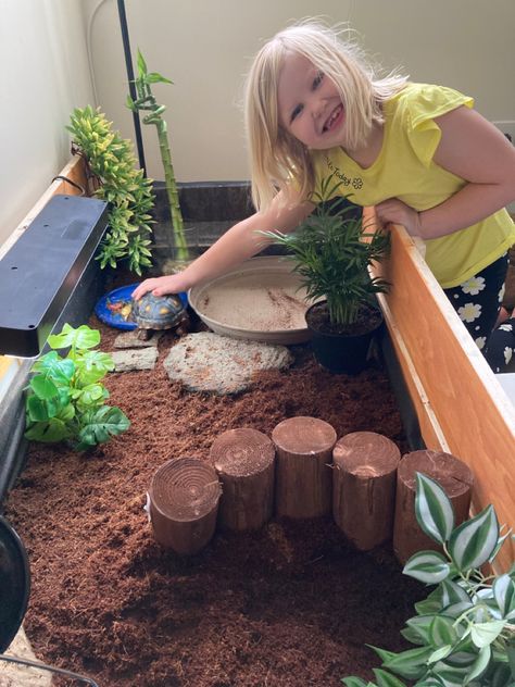 Red foot tortoise table. We built it and put feet on it so its easy to carry around and looks cute Indoor Tortoise Table, Tortoise Water Bowl, Cherry Head Tortoise Enclosure, Red Foot Tortoise Enclosure, Red Footed Tortoise Habitat Indoor, Greek Tortoise Habitat Indoor, Russian Tortoise Habitat Indoor, Dresser Tortoise Habitat, Tortoise Enclosure Indoor