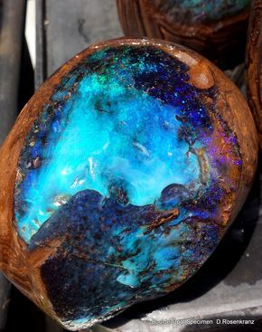 Large full polished Boulder Opal Specimen reveals the interior blue fire. Opal Rock, Australian Opal Jewelry, Inlay Jewelry, Jewelry Opal, Deco Originale, Pretty Rocks, Beautiful Rocks, Mineral Stone, Minerals And Gemstones