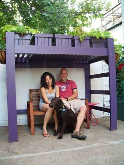 Repurposed Bunk Bed Planter/Bench Gardening In Pots, Old Bed Frames, Old Beds, Dog Garden, Camper Life, Repurposed Items, Refurbished Furniture, Bunk Bed, Backyard Ideas