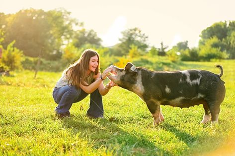 Livestock Photography Senior Pics, Livestock Senior Pictures Pigs, Senior Pictures With Pigs, Senior Picture Ideas Livestock, Show Pig Senior Pictures, Pig Photoshoot, Livestock Senior Pictures, Livestock Pictures, Western Senior Picture Ideas