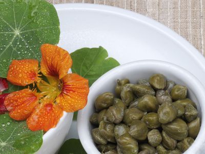 Cheap Capers Substitute: Easy Pickled Nasturtium Pods Recipe Capers Recipe, Fermentation Recipes, Garden Recipes, Watercress, Wild Food, Fermented Foods, Fermenting, Salad Ingredients, Chutney