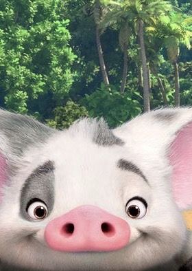 Pua Moana Wallpaper, Moana Pig Pua, Disney Pig, Disney Sidekicks, Disney Word, Walt Disney Princesses, Disney Cuties, Pig Pictures, Big Curls