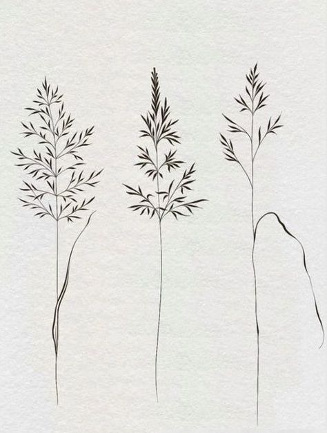 Leafs And Flowers Tattoo, The Grass Is Greener Where You Water It Tattoo, Tall Grass Tattoo, Wild Grass Tattoo, Grass Tattoo Design, Botanical Tattoo Minimalist, Dried Flower Tattoo, Fine Line Botanical Tattoo, Hay Tattoo