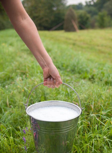 Hand Holding, Holding Hands, Hold On, Milk, Google Search, Media