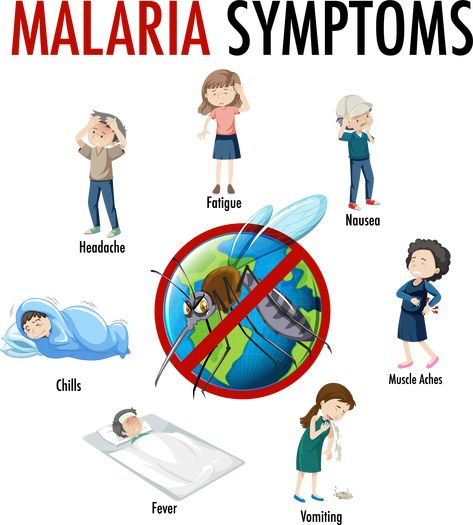 Malaria Symptoms, World Malaria Day, Muscle Aches, Best Resolution, Png Image, Png Images, Resolution, For Free, Clip Art