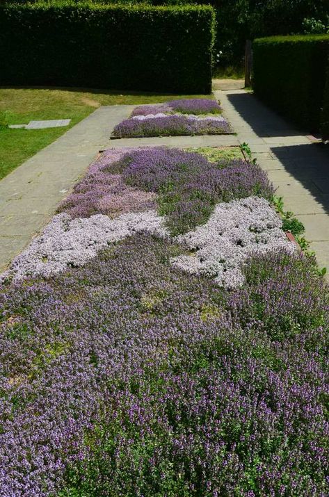 Sissinghurst Garden, Thyme Garden, Sissinghurst Castle, Lawn Alternatives, Castle Garden, Ground Cover Plants, Have Inspiration, Green Garden, Back Garden