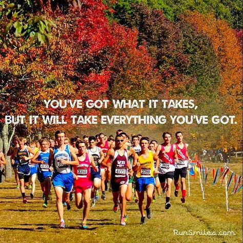 Cross Country Quotes, Ivan Cruz, Xc Running, Track Quotes, Running Memes, Running Motivation Quotes, Unleash The Beast, Healthy Sport, Training Quotes