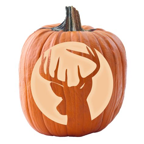 Witch Face Pumpkin Carving, Witch Face Pumpkin, Deer Pumpkin, Face Pumpkin Carving, Owl Pumpkin Carving, Deer Stencil, Halloween Porch Decor, Pumpkin Carving Tools, Pumpkin Cravings