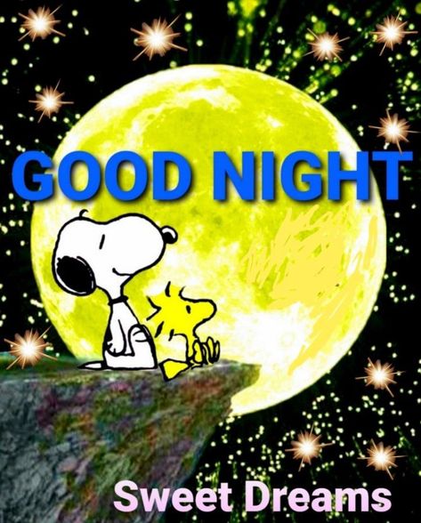 Good Night Snoopy, Goodnight Snoopy, Good Morning Snoopy, Snoopy Funny, Snoopy Images, Cute Good Night, Peanuts Cartoon, Slaap Lekker, Snoopy Quotes