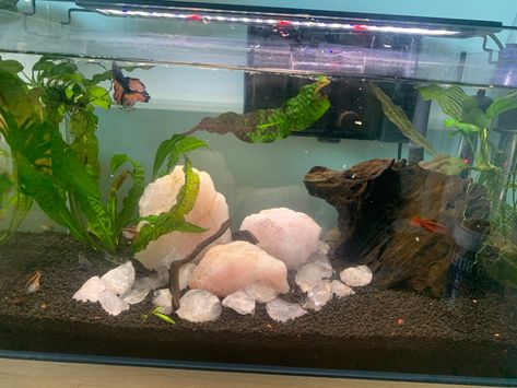 Rose Quartz Fish Tank, Crystals In Aquarium, Fish Tank Crystals, Crystal Fish Tank, Crystal Aquarium, Cool Fish Tank Decorations, Fish Tank Themes, Enclosure Ideas, Fish Tank Terrarium