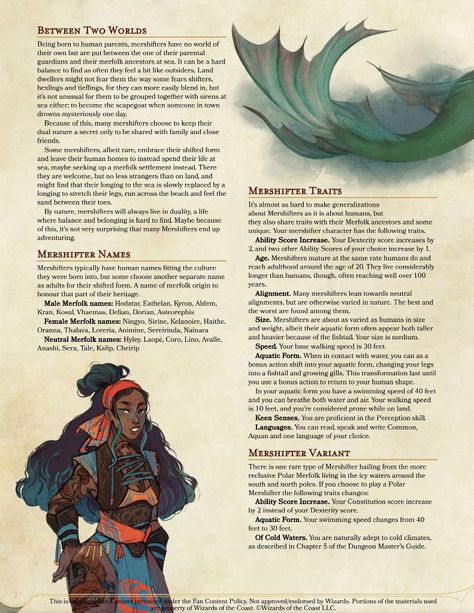 5e Races, Dungeons And Dragons Races, D D Races, Dnd Races, Dnd Classes, Dungeon Master's Guide, Dnd Funny, Dungeons And Dragons Classes, Dnd 5e Homebrew