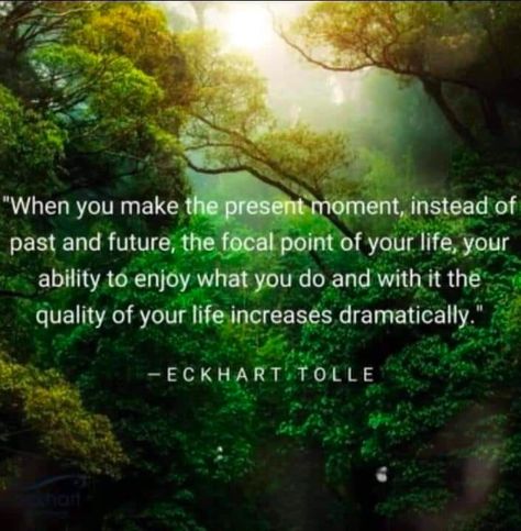 Yogi Quotes, Ekhart Tolle, Eckart Tolle, Eckhart Tolle Quotes, Buddha Quotes Life, Focus Quotes, Perspective Quotes, How To Read People, Be Here Now