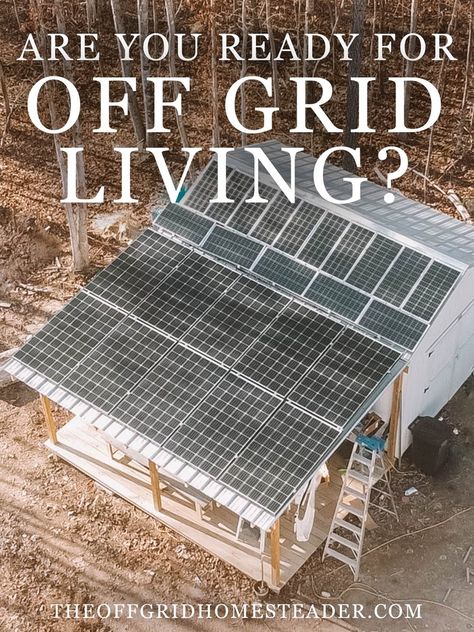 Off Grid Kitchen, Shed To Home, Off Grid Homestead, Off Grid House, Homestead House, Garden Animals, Living Off The Land, Go Off, How To Buy Land