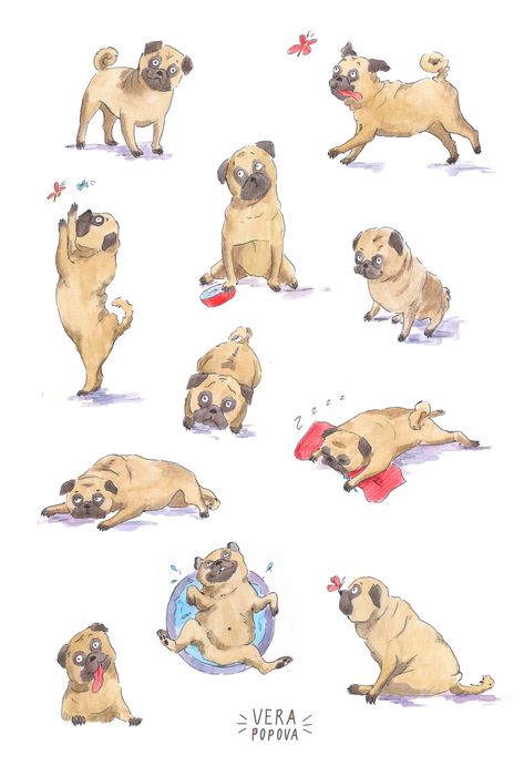 Pug character design illustration #pug  #characterdesign  #dogillustration  #illustrationart  #illustration   #verapopovaillustration Pug Dog Illustration, Dog Portraits Illustration, Character Design Drawing, Pug Cartoon, Pug Illustration, Character Design Illustration, Photoshop Watercolor, Character Designer, Childrens Books Illustrations