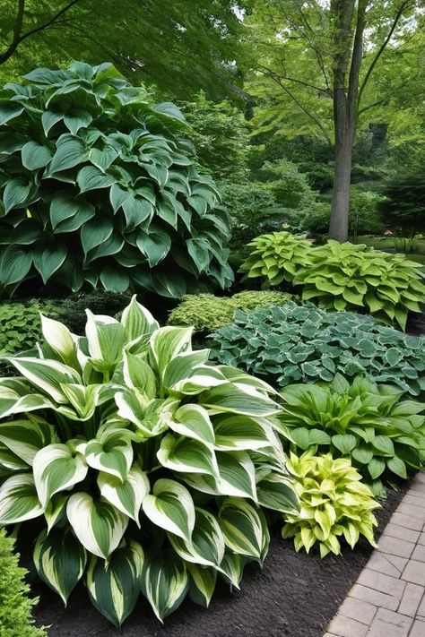 Got a shady garden spot? Shady Flower Bed Ideas, Shade Loving Plants, Shady Garden Ideas, Shade Plants Perennial, Part Shade Perennials, Shade Garden Design, Landscaping Around Trees, Japanese Forest, Best Perennials