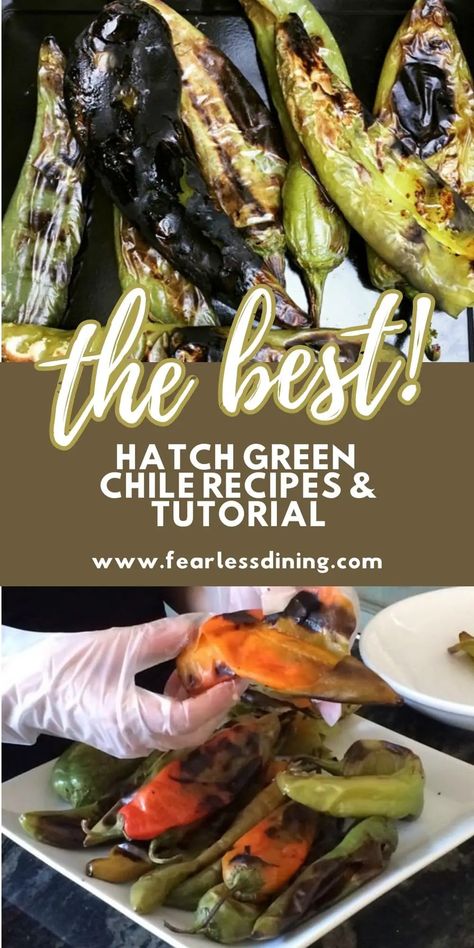 Hatch Pepper Recipes, Hatch Chili Peppers, Hatch Green Chili Recipe, Hatch Chili Recipes, Hatch Peppers, Hatch Chile Recipes, Hot Pepper Recipes, Hatch Green Chili, Green Chile Recipes