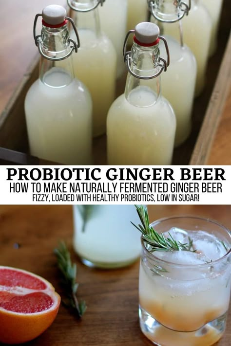 How to Make Probiotic Ginger Beer - this naturally fermented probiotic rich beverage is loaded with health benefits! Plus, it's fun to make at home and an excellent project for those who love fermenting food and drinks. #probiotics #beverage #kombucha #gingerbeer #healthy #guthealth Probiotic Whey Soda, Fermented Ginger Beer, Ginger Probiotic Drink, Diy Probiotic Soda, Prebiotic Drink Recipe, Ginger Bug Soda Flavors, Diy Ginger Beer, Gut Shot Recipe, Probiotic Food Recipes