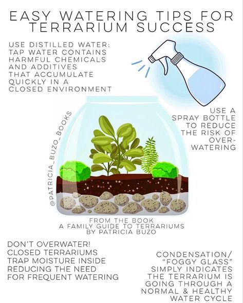 Watering your terrarium doesn’t need to be tricky, but there are a few tips that help keep your plants healthy.  One tiny side note I will add is that certain plants may not like to have standing water on their leaves and it could result in rotting. When spraying, try to aim for the topsoil instead of leaf tops just to be safe. This does not apply, however, to moss. Moss needs its leaves to be hydrated so go ahead and spray it all down. 😊  #terrariumguide Plant Ideas Indoor, Indoor Plant Hacks, Best Terrarium Plants, Indoor Plant Ideas, Closed Terrarium Plants, Build A Terrarium, Plant Pot Indoor, Indoor Plants Styling, Diy Succulent Terrarium