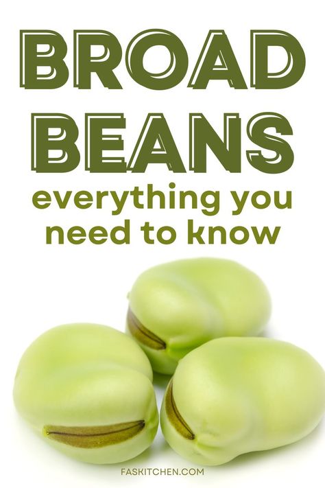 A close-up of a broad bean pod with the caption "broad beans everything you need to know" Broad Bean Recipes, Beans Benefits, Kinds Of Beans, Delicious Veggies, Broad Beans, Broad Bean, Fava Beans, Cooking Skills, Veg Recipes