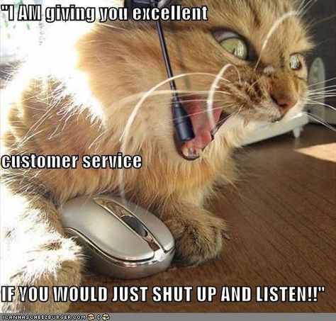 "I AM giving you excellent customer service IF YOU WOULD JUST SHUT UP AND LISTEN!!" Call Center Humor, Dispatcher Quotes, Customer Service Funny, Work Funnies, Customer Service Quotes, True Sayings, Sarcastic Jokes, Work Quotes Funny, Demotivational Posters