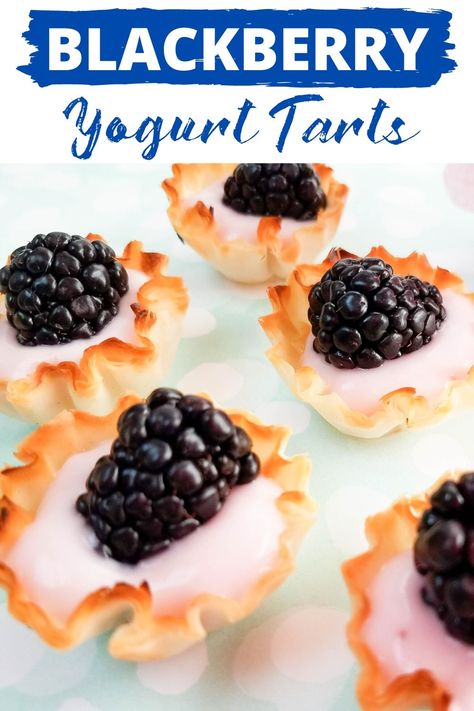 Blackberry Yogurt Tarts Recipe - Outnumbered 3 to 1 Homemade Nuggets, Yogurt Tart, Blackberry Yogurt, Phyllo Shells, Banana Walnut Muffins, Mini Fruit Pizzas, Chick Fil A Nuggets, Copycat Chick Fil A, Honey Mustard Dipping Sauce