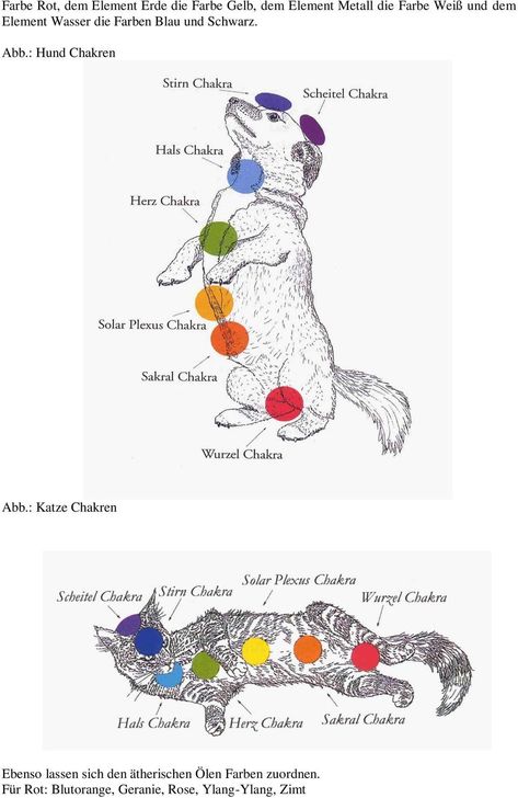 Animal Energy Healing, Reiki For Animals, Chakra Chart, What Is Reiki, Reiki Room, Chakra Healing Meditation, Animal Reiki, Learn Reiki, Energy Healing Reiki