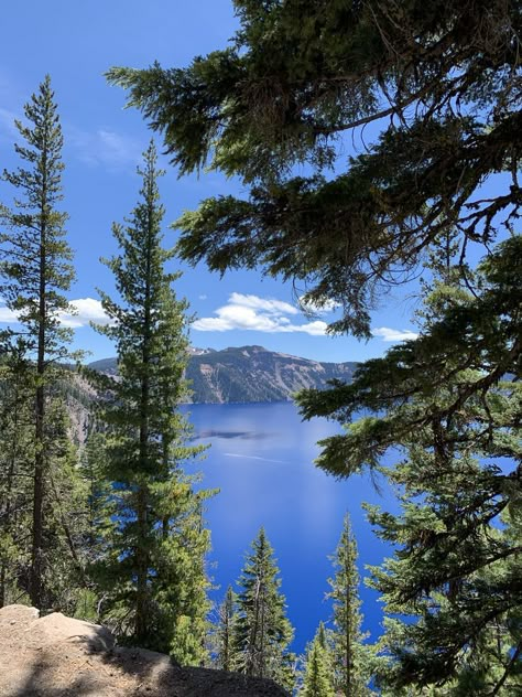 Oregon National Park, Oregon Scenery, Lake Core, Your Potential Is Endless, Mountains And Water, Pch Road Trip, Usa Nature, Crater Lake Oregon, Pretty World