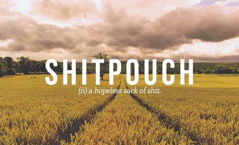 18 British Insults We Should All Start Using - Funny Gallery Swear Words, Annoying People, Unique Words Definitions, Curse Words, Swear Word, Word Nerd, Cuss Words, Weird Words, Unusual Words