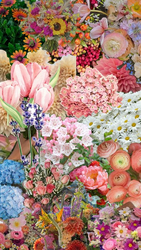 #flowers British Summer Flowers, Flowers Collage Aesthetic, Flowers Moodboard, Garden Collage, Scrapbook Themes, Collage Pieces, Floral Collage, Flower Collage, British Summer