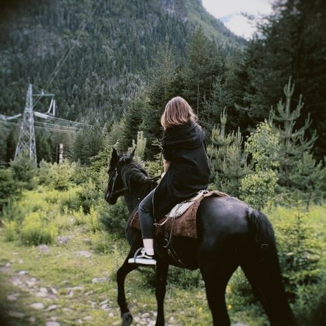 karachai horse Horse Rider Reference, Aesthetic Horse Riding, Horse Adventure, Horse Riding Aesthetic, Wild Horses Photography, Jumping Horse, Horse Aesthetic, Adventure Aesthetic, Dressage Horses