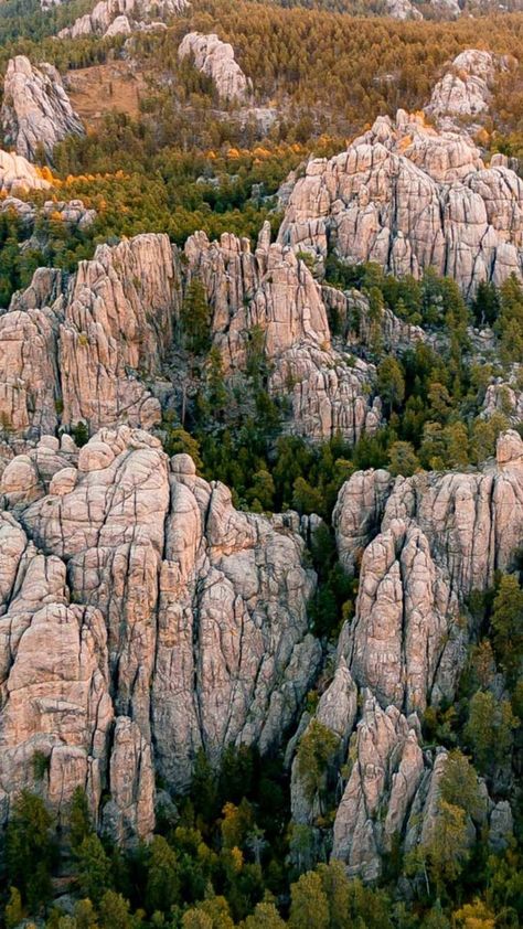 Black Hills National Forest, Cowboy Artwork, National Park Camping, National Parks Photography, Hiking National Parks, Forest Photos, National Parks Usa, National Parks Trip, Us National Parks