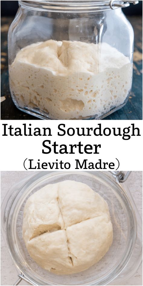 The Best Sourdough Starter Recipe, French Sourdough Starter, Cassava Sourdough Starter, Italian Sourdough Starter, Sourdough Without Starter, Small Batch Sourdough Starter, Sough Dough Starter, Sourdough Starter Flour, Sourdough Italian Bread