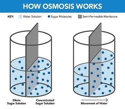 Tissue Biology, Force And Pressure, Branches Of Science, How The Universe Works, Ap Biology, Chemistry Lessons, Water Purification System, Water Solutions, New Inventions