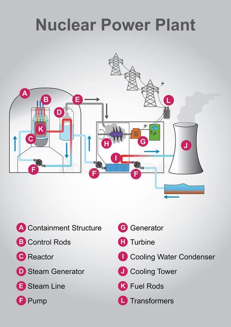 Atomic Physics, Work Energy And Power, Fusion Reactor, Diagram Ideas, Hyper Focus, Nuclear Engineering, Nuclear Reaction, Engineering Mathematics, Atomic Energy