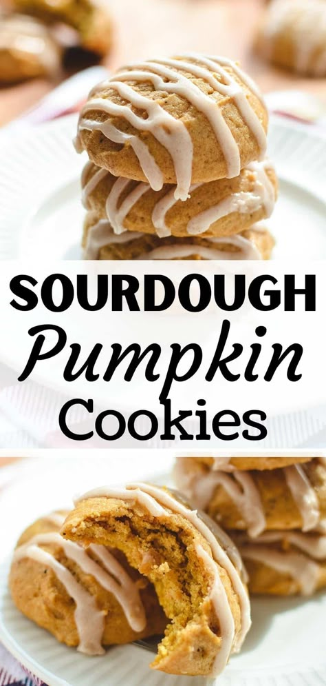 Sourdough Pumpkin, Maple Icing, Recipe Using Sourdough Starter, Fall Cookie Recipes, Sourdough Starter Discard Recipe, Homemade Sourdough Bread, Pumpkin Spice Cookies, Sourdough Starter Recipe, Sourdough Discard