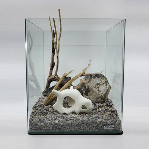 Cubone Skull Aquarium Decoration From Pokémon Available in 3 - Etsy Pokemon Aquarium, Skull Aquarium, Nano Pond, Cubone Skull, Aqua Scaping, Small Fish Tanks, Fish Tank Design, Marine Tank, Indoor Water Garden