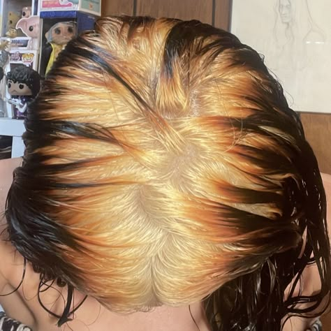 Dark Hair With Light Roots, Blonde Roots Brown Ends, Brown Roots Black Hair, Blonde Ghost Roots Black Hair, White Roots Dark Ends, Bleached Roots Dark Ends, Bad Bleached Hair, Blonde Ghost Roots, Black Hair Blonde Roots