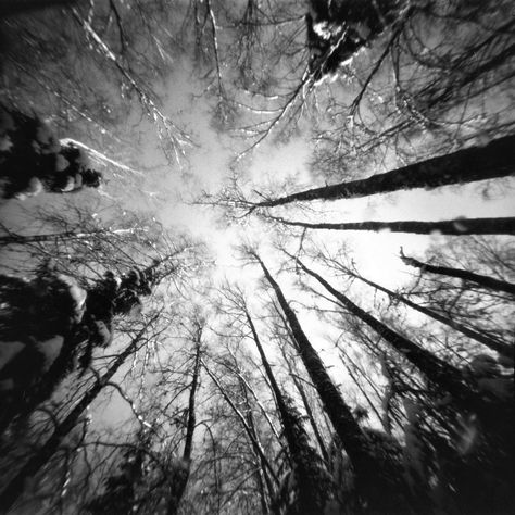 pinhole by Olle Pursiainen, https://flic.kr/p/2421pCc | crown | pinhole camera RealitySoSubtle 6x6F, no lens, Tiffen 85B filter, film Ilford PanF Plus, developed in Compard R09 1:50 for 12 min Pinhole Photography Ideas, Pinhole Camera Photos, Depth Of Field Photography, Light Painting Photography, Pinhole Photography, Field Photography, Pinhole Camera, Camera Photos, Film Photography 35mm