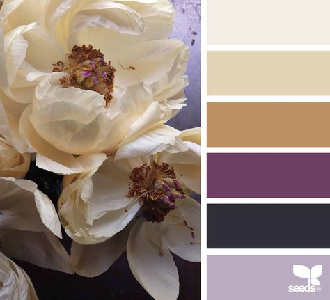 Peony Palette, Bedroom Purple, Seeds Color, Design Seeds, Purple Design, Color Balance, Color Palette Design, Color Harmony, Color My World