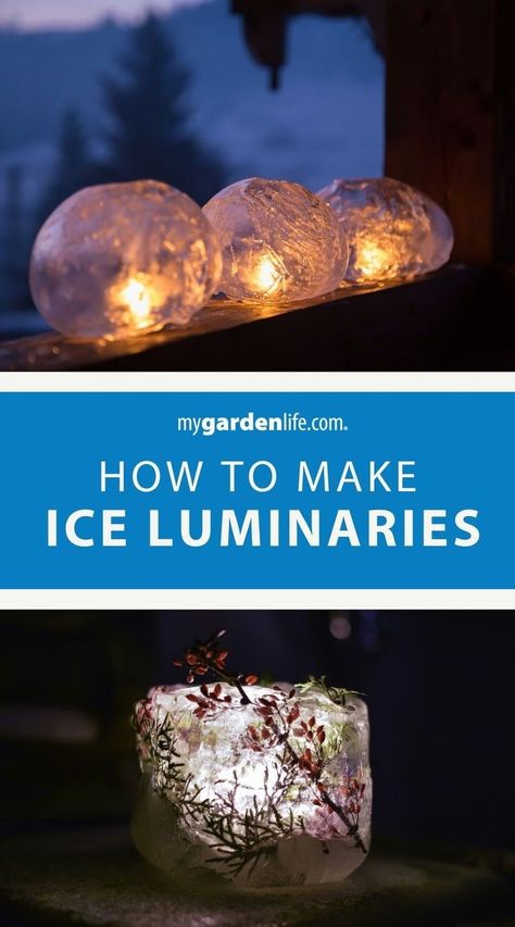 Light up your walkway with enchanting ice luminaries. Discover the art of creating luminaries lantern for a mesmerizing outdoor experience. Explore various DIY ideas and designs to elevate your outdoor space. Find more outdoor winter decor inspiration at MyGardenLife.com. Ice Luminaries, Diy Outdoor Lanterns, Advent By Candlelight, Luminary Diy, Outdoor Winter Decor, Gift Ideas For Gardeners, Chore Ideas, Ice Candle, Christmas Plant