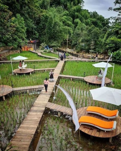 Spot Foto, Resort Design Plan, Coffee House Design, Outdoor Restaurant Design, Farm Plans, Resort Architecture, Bamboo Architecture, Outdoor Living Design, Resort Design